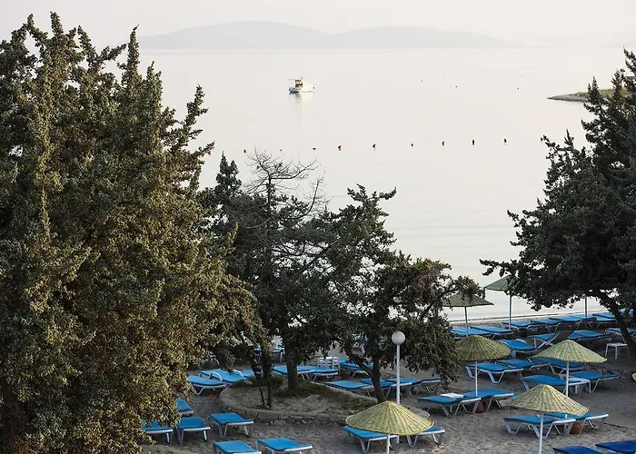 Aparthotel Altin Yunus Apart Beach Plus Çeşme