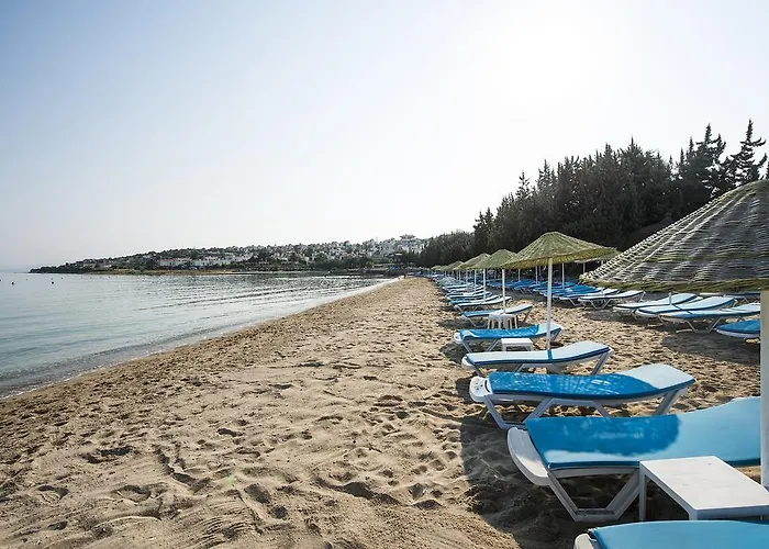 Aparthotel Altin Yunus Apart Beach Plus 4*