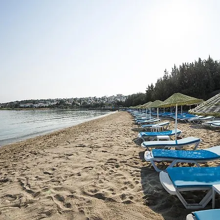 Aparthotel Altin Yunus Apart Beach Plus *